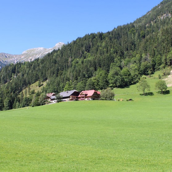 Bio-Bauernhof in der Ramsau