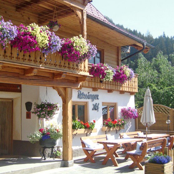 Rössingerhof in Ramsau am Dachstein