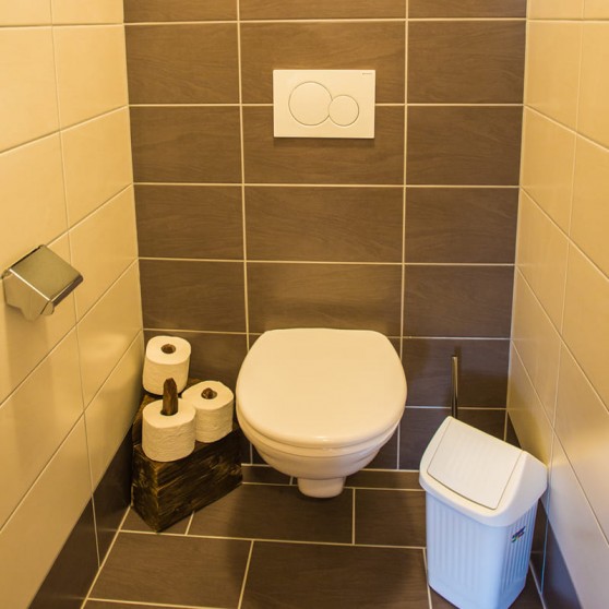 Ferienwohnung "Bergahorn" WC