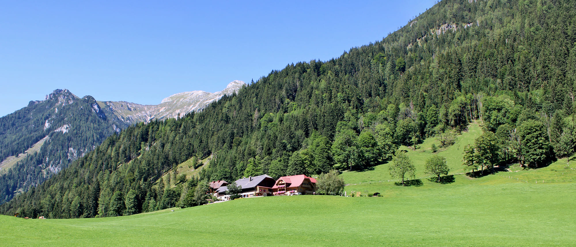 Bio-Bauernhof Rössinger in perfekter Lage in Ramsau am Dachstein