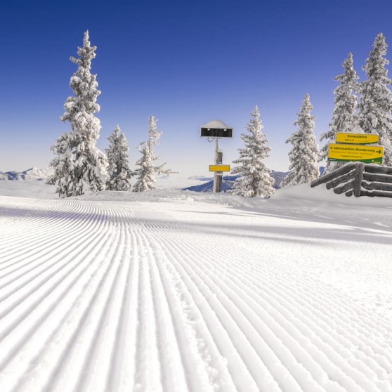 Skipiste Hochwurzen © Schladming-Dachstein_Georg Knaus