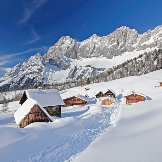 Verschneite Almlandschaft in Ramsau Dachstein © Schladming-Dachstein - Raffalt